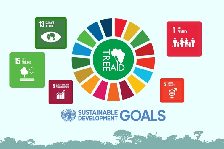 Tree Aid is actively contributing to the UN Sustainable Development Goals