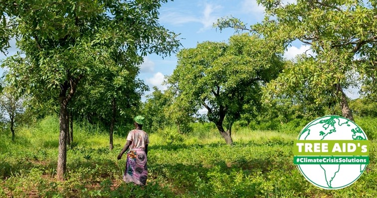 Tree Aid's climate crisis solutions 10 - build a Great Green Wall