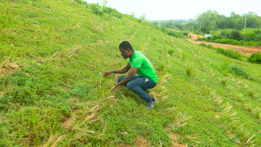A Tree Aid staff member tending to grass on a hill