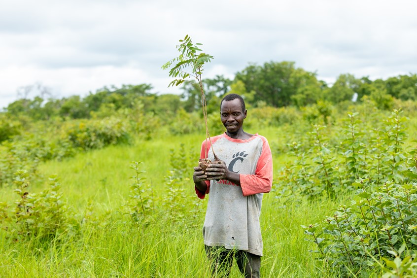 A project participant in a field holding a tree seedling.