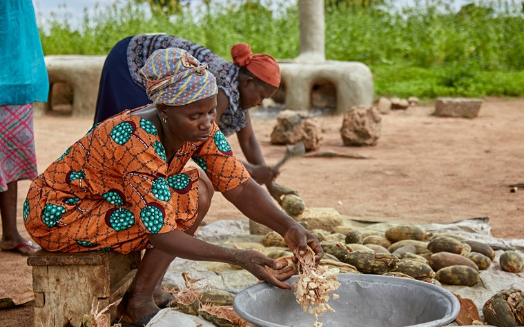 Kuabje, a member of a Tree Aid enterprise group, processing baobab fruits.