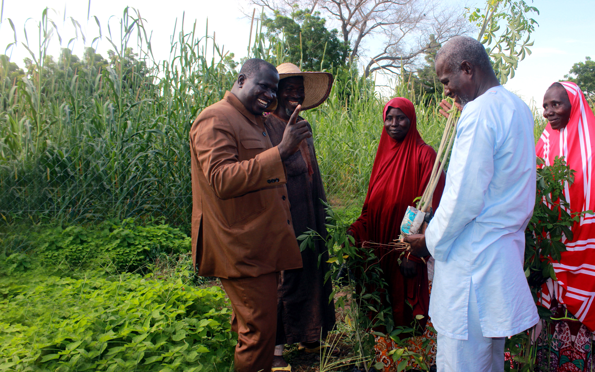 Niger | Tree Aid