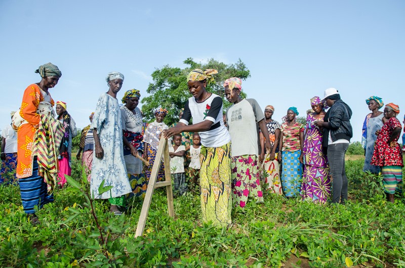 Image: Sèkoura Diarra (central), demonstrating land management techniques to women in her cooperative that she learnt through the She Grows project.