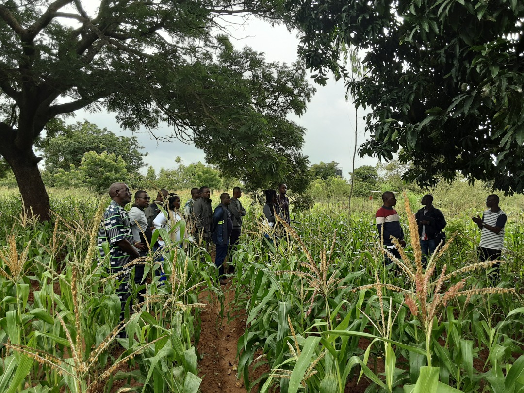 Growing Resilience With Smallholder Farmers In Burkina Faso | Tree Aid