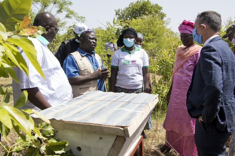 Tree Aid’s country manager, Amadou Tangara, and women from a community supported to set up a honey enterprise group through the She Grows project, discussing the benefits of the project with the UK Ambassador to Mali, Barry Lowen (right).