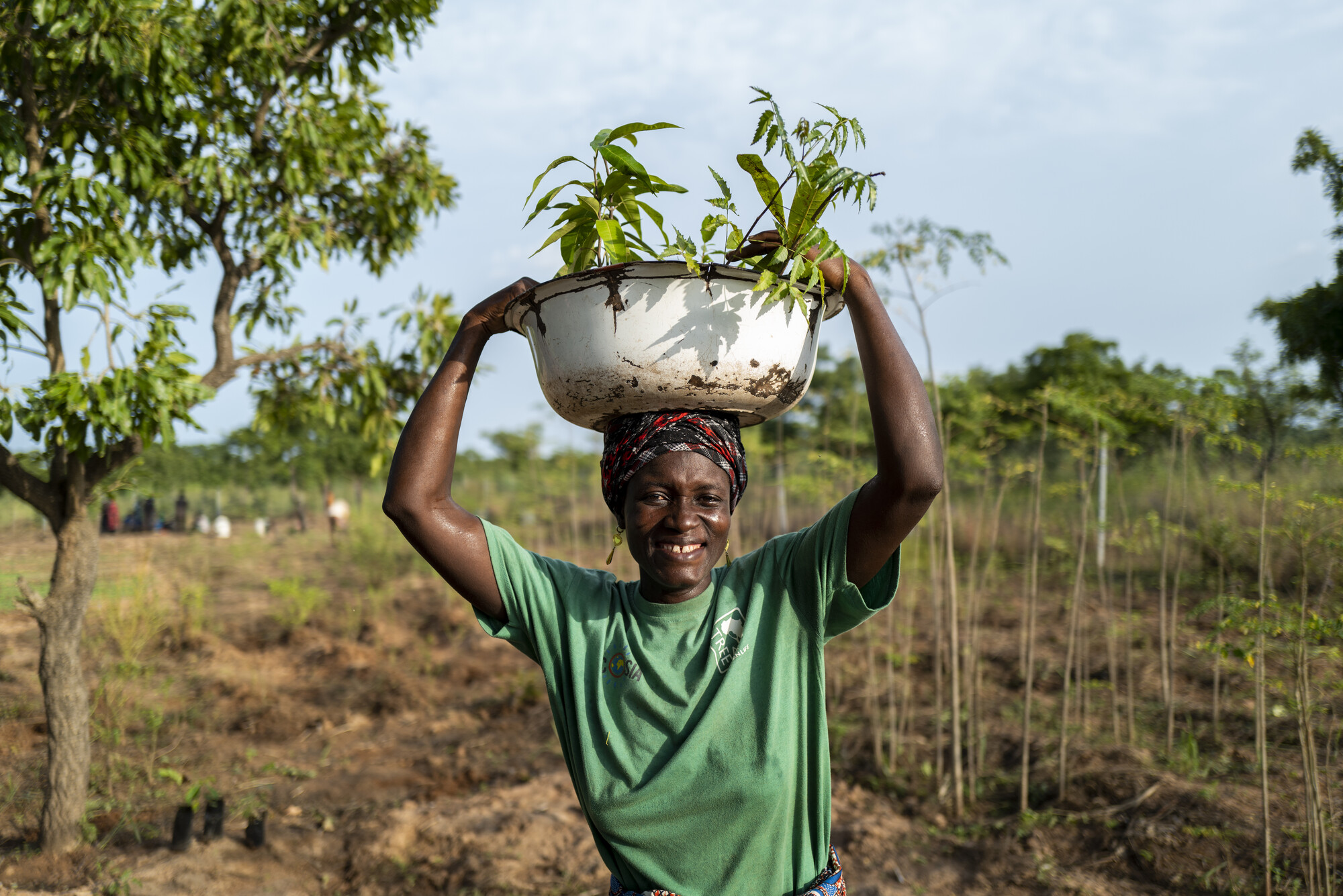 Ghana Tree Aid 4139