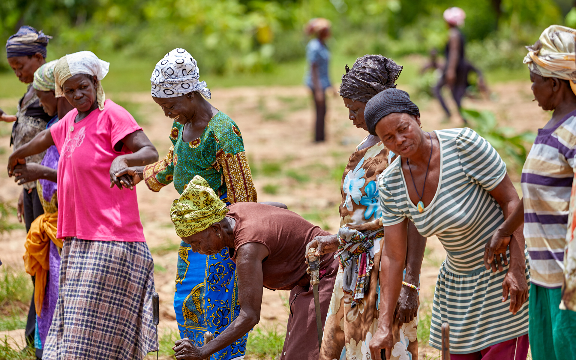 Tree Aid | Growing Trees To Tackle Poverty In Africa